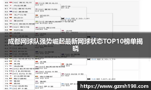 成都网球队强势崛起最新网球状态TOP10榜单揭晓