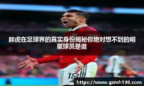 胖虎在足球界的真实身份揭秘你绝对想不到的明星球员是谁